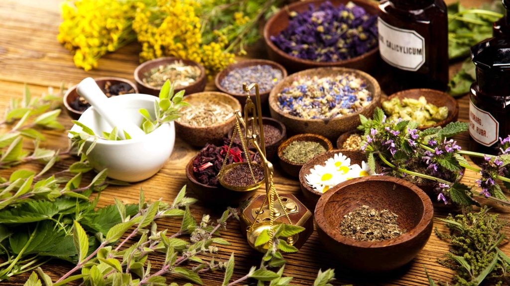 Best Ayurvedic Herbs for Immunity & Daily Wellness | Herbalhand Jadibooti