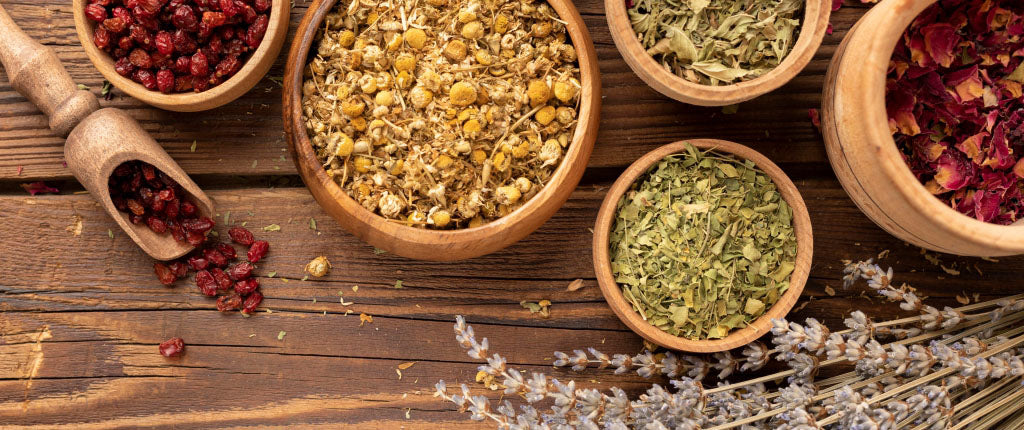 Natural Remedies for Digestion: Ayurvedic and Unani Herbs for Better Gut Health