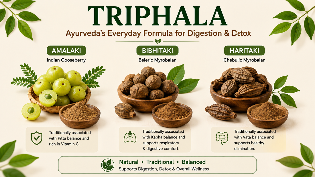 Triphala Benefits: Ayurveda’s Everyday Formula for Digestion & Detox | Herbal Hand Jadibooti