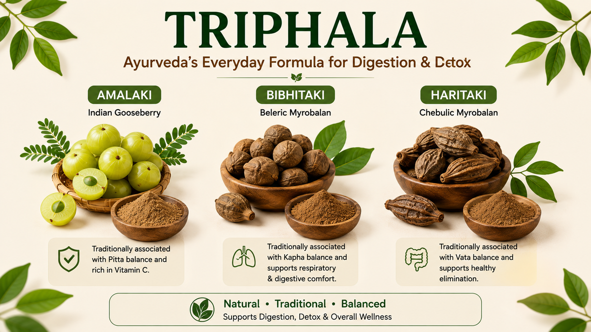 Triphala Benefits: Ayurveda’s Everyday Formula for Digestion & Detox | Herbal Hand Jadibooti