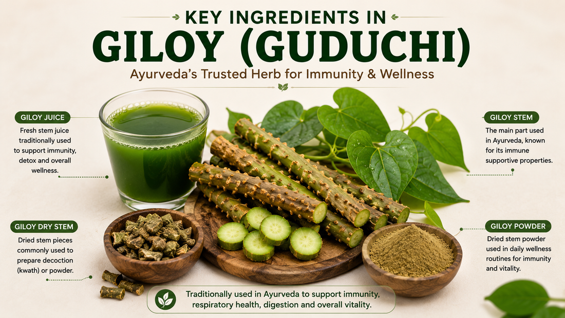 Giloy (Guduchi) Benefits: Ayurveda’s Herb for Immunity and Wellness | Herbal Hand Jadibooti