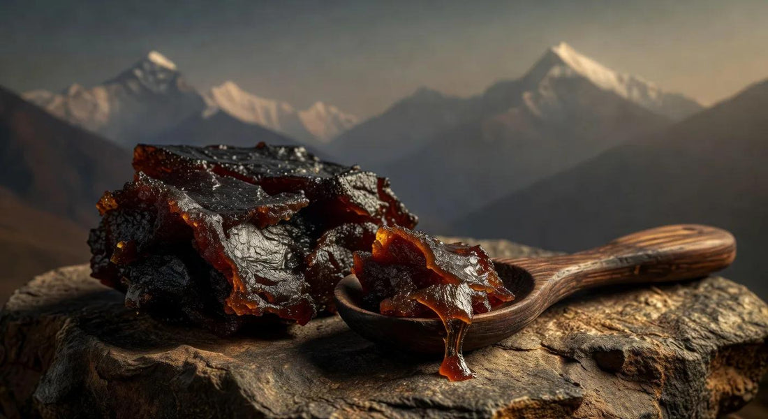 Shilajit Benefits for Men: Ayurveda's Mineral-Rich Secret from the Himalayas