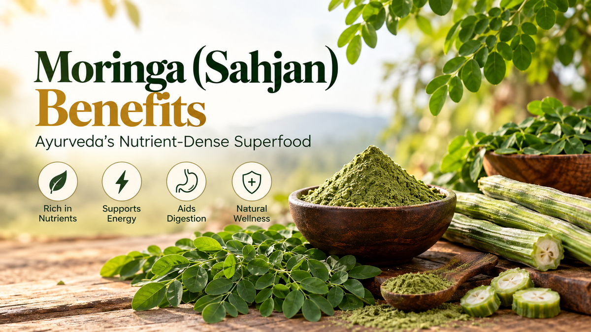 Moringa (Sahjan) Benefits: Ayurveda’s Nutrient-Dense Superfood