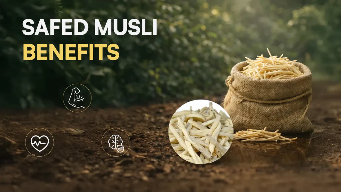 Safed Musli Benefits for Strength, Stamina & Daily Vitality