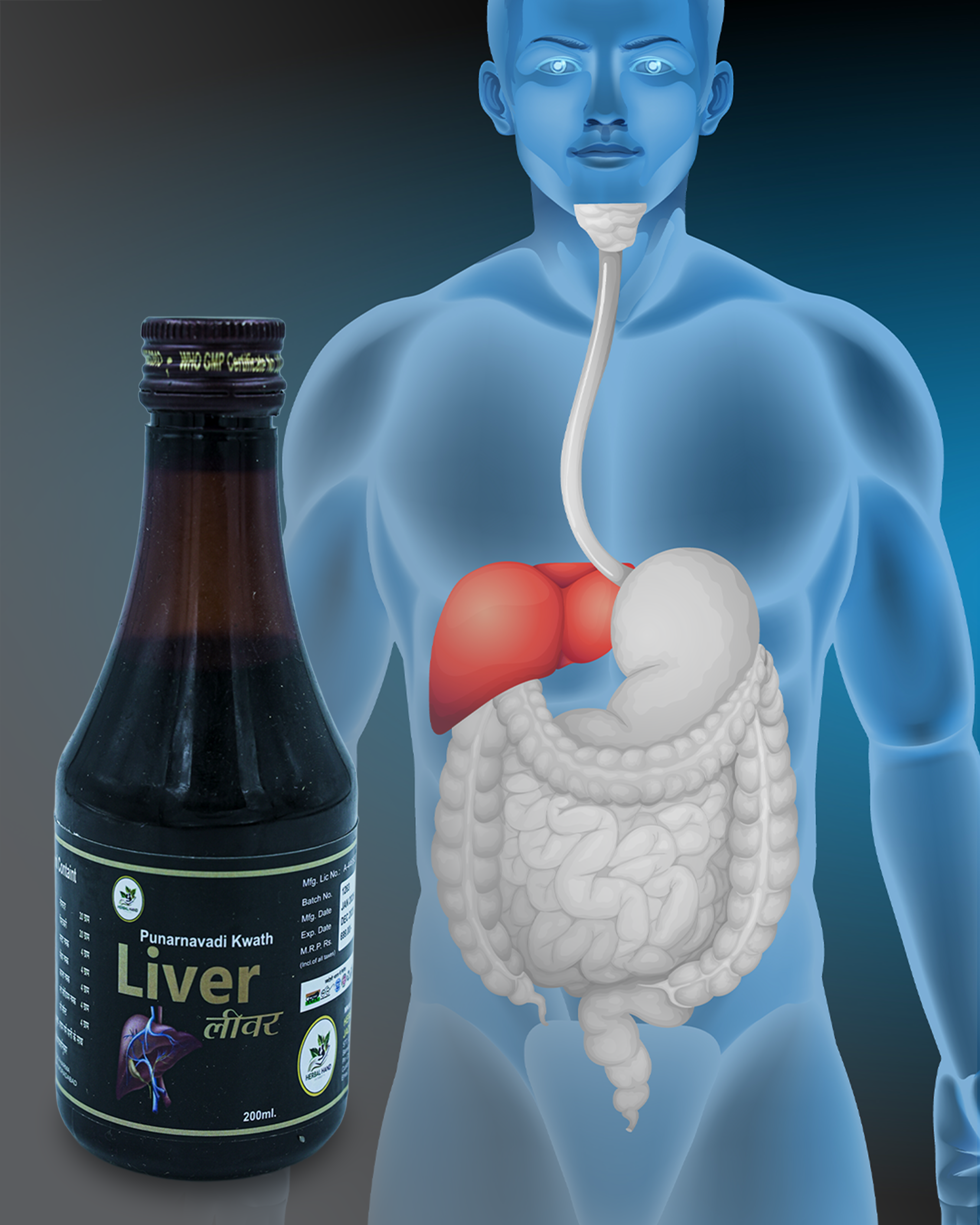 Punarnavadi Kwath Liver Detox
